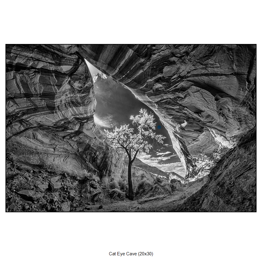 Fine art photography by Sam Dobrow