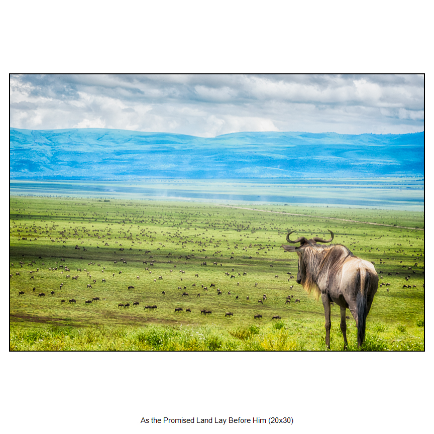 Fine Art Photography by Sam Dobrow