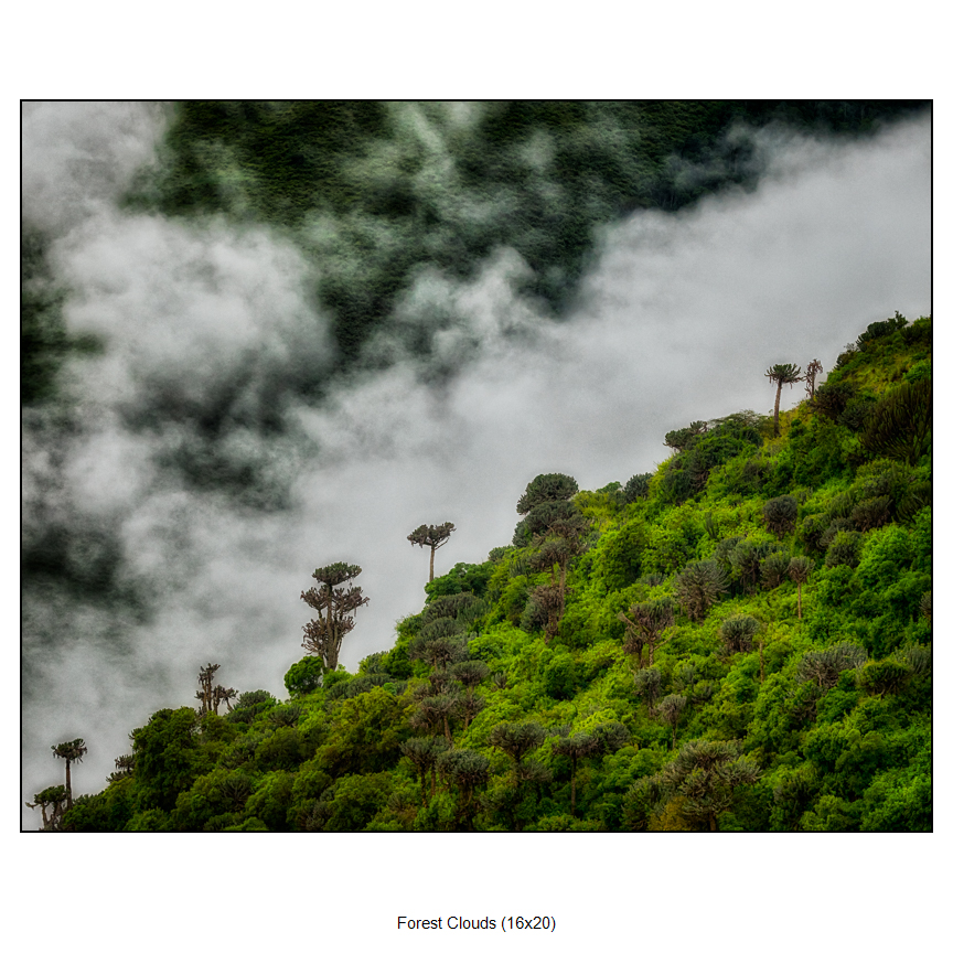Fine Art Photography by Sam Dobrow