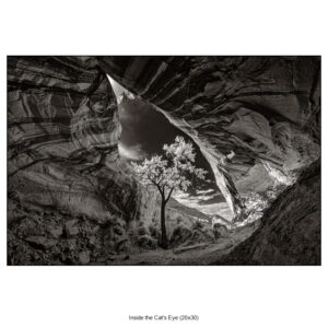 inside the cat's eye