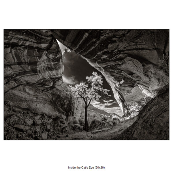 inside the cat's eye
