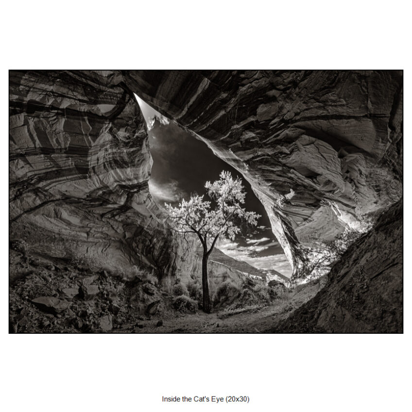 inside the cat's eye