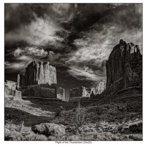 plight of the thunderbird