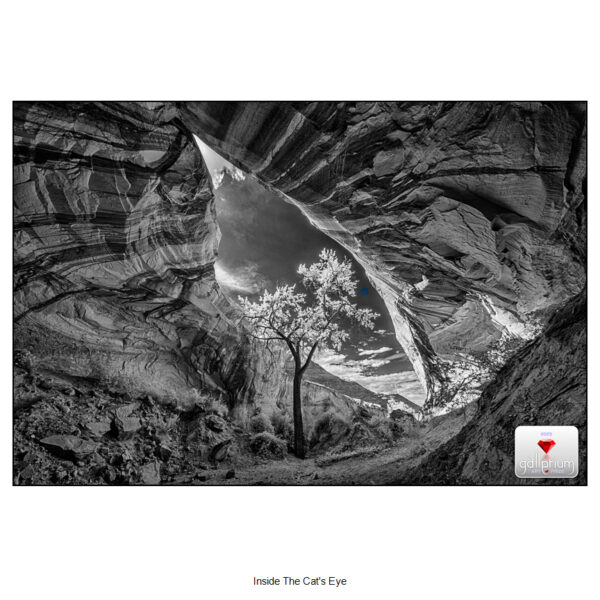 inside the cat's eye