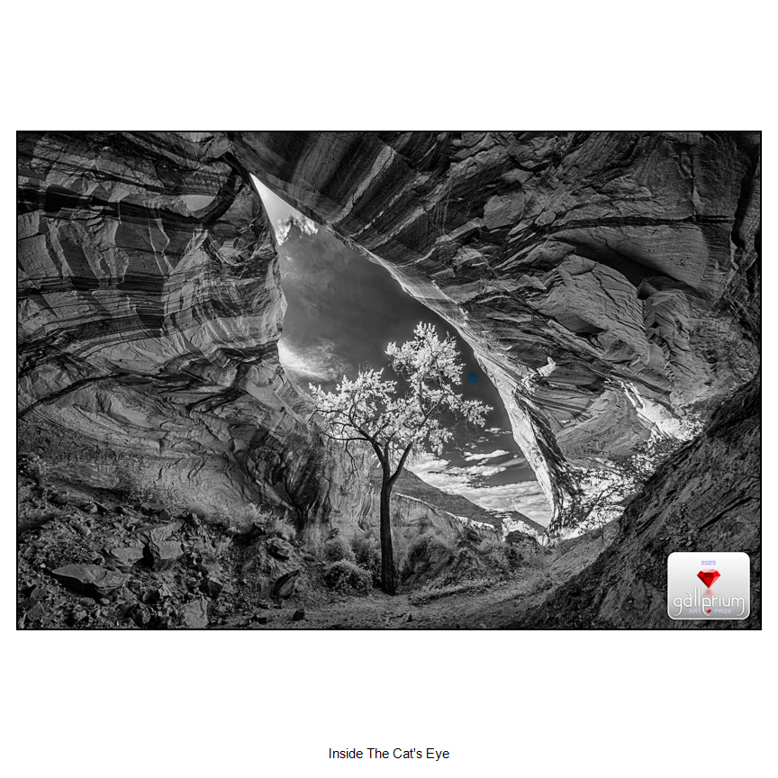 inside the cat's eye
